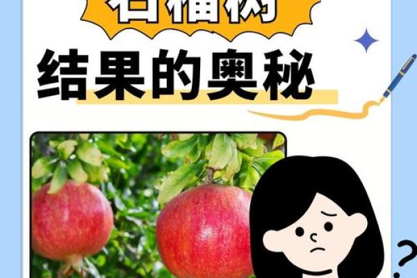 选择石榴木命手机号的秘诀与指南，助你运势亨通！