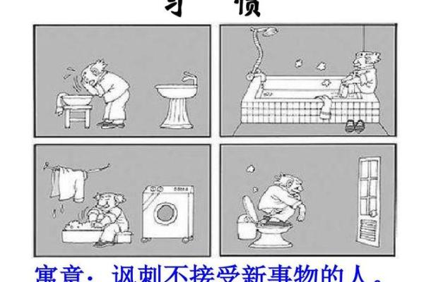 探究“造物已命摧骄阳”的深刻寓意与启示