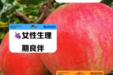 探索石榴木命与适宜鱼类的奥秘,颜色搭配助运势提升!