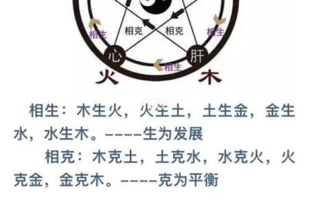 土命与水命：如何平衡五行缺失，提升自身能量