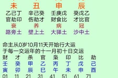 探索童子命男人的命理特征与生活轨迹