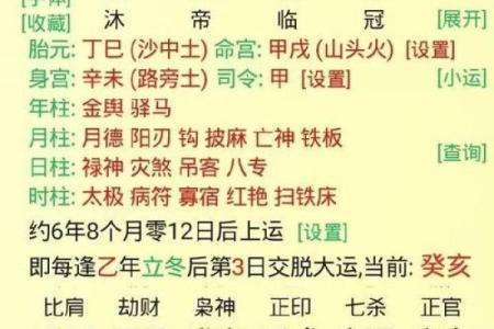喜金水命格解析:从金水之属看人生运势与发展
