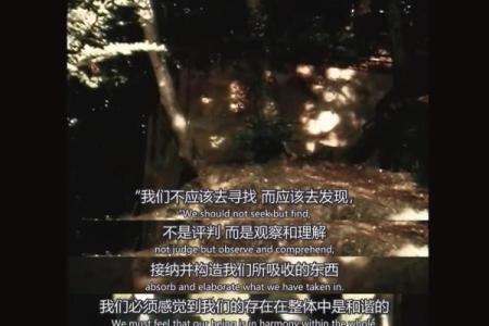修道黑色的神秘寓意:黑色代表的命运与内在探索