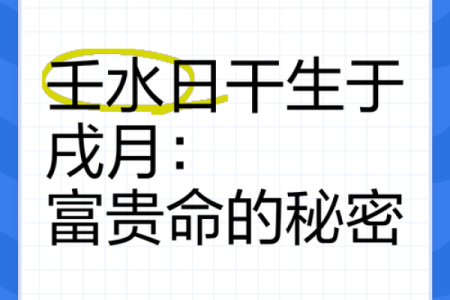 戊子日壬子时,探寻命理背后的秘密与智慧