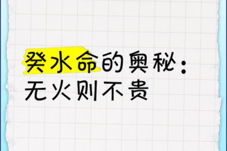 探秘水命之道:水命的意义与人生启示