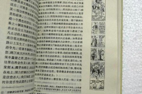 兔子与龙的命运交织：五官的隐喻与情感探讨
