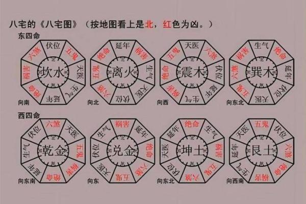 探讨坤命、乾命与兑命：女生命理解析与人生智慧