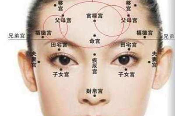 水命人南方工作注意事项：从风水到人际关系的全方位解析