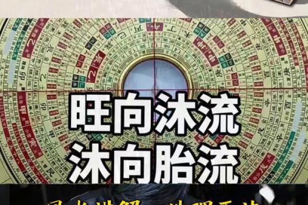 水命人南方工作注意事项：从风水到人际关系的全方位解析