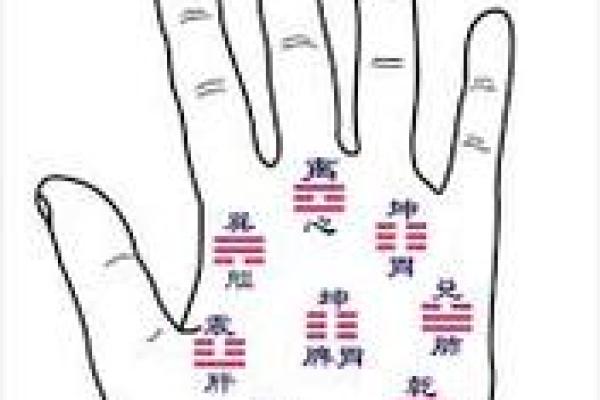 土命人适合的生意类型与成功秘诀解析