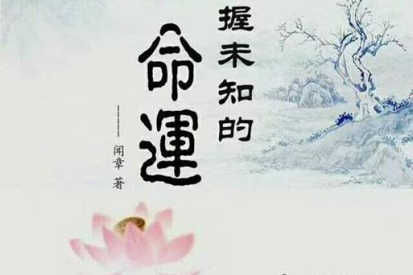 四两命：轻盈的宿命与生命的平衡艺术