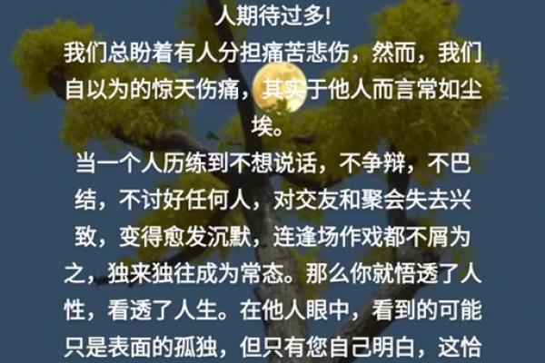天生孤独的命格：在孤独中绽放自我之花
