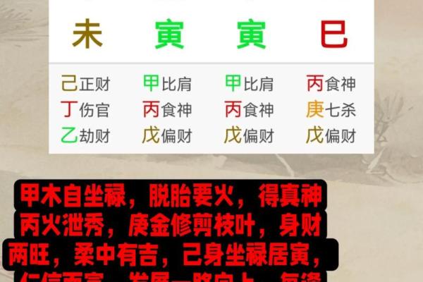 土命男适合哪些行业？揭秘旺财的最佳选择！