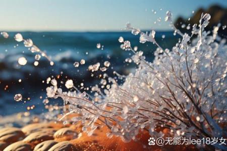 探索石榴木命:自然之灵的深邃内涵与珍贵价值