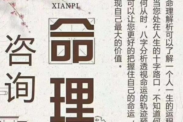 探寻命运的指引——《你的命是什么》电视剧解读