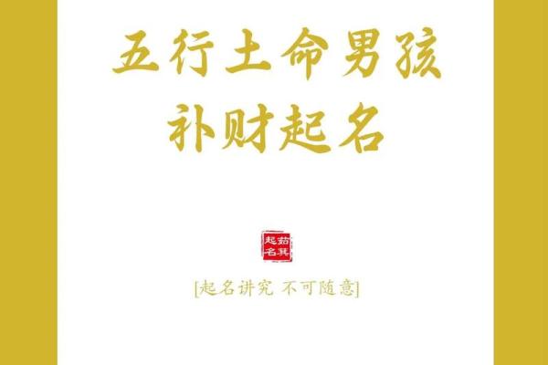 土命人开食品公司：起名的艺术与智慧