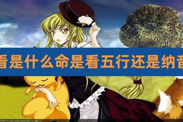 土命与火命的色彩缺失与补充探索