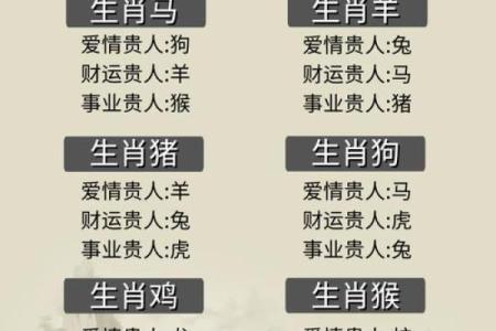探索十二生肖女性命理:如何解读她们的命运与特质