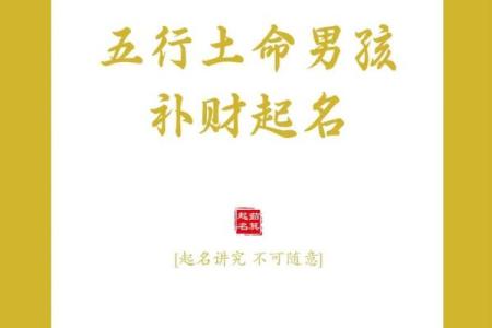 土命人开食品公司：起名的艺术与智慧