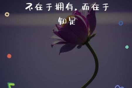 追寻自我立福之道:用心践行每一步,成就幸福人生