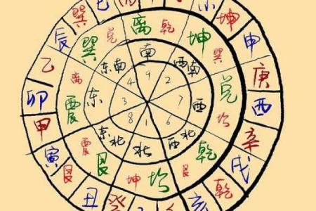 探秘蛇的五行属性:中药与命理的奇妙结合