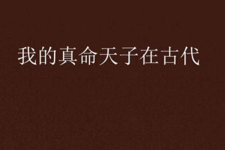 天子之命与县于太子:历史中的权力与责任
