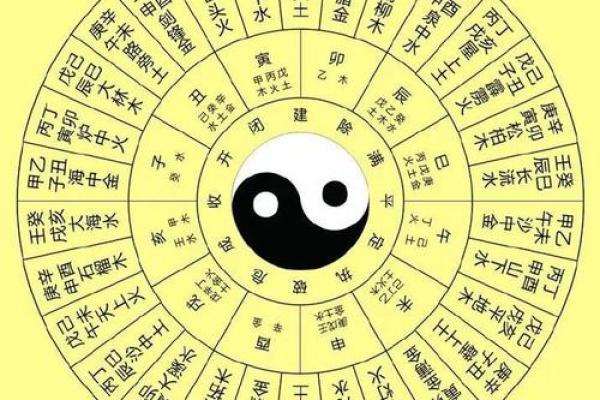 天秤龙八字解析：揭开命运的神秘面纱，寻找人生的指引