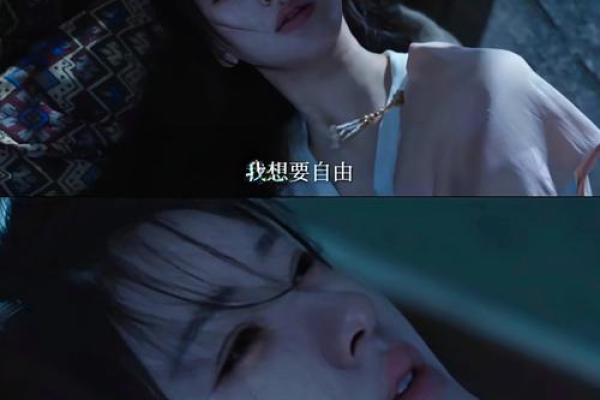 无儿无女的命运：孤独与自由的双面人生