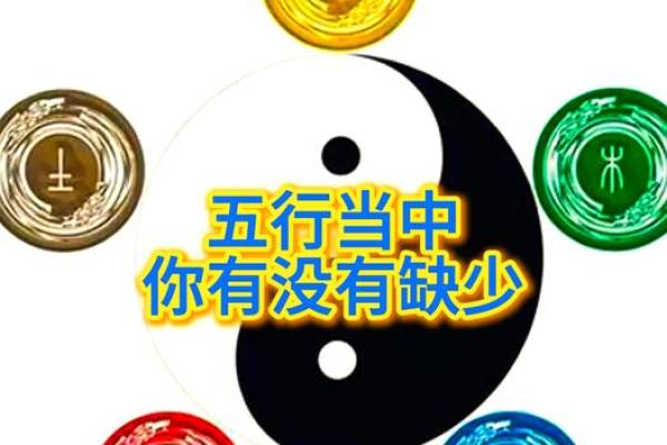 探寻石榴木命的五行玄机：如何弥补缺失的元素？