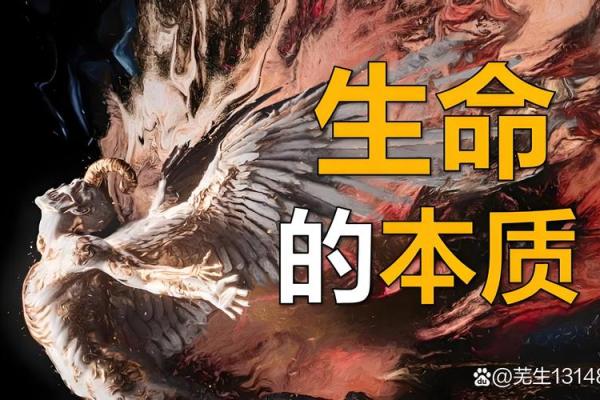 探索木命与土命的奥秘：命理学中的元素世界