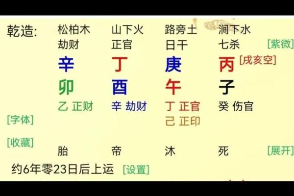 探索木鼠之命：命理与生活的和谐之道