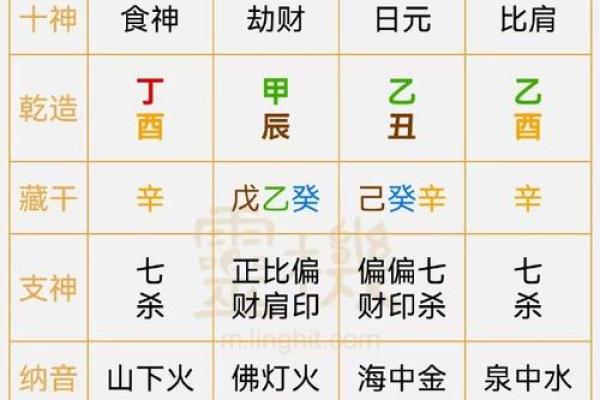 探秘乙木日主命局：如何理解和优化命运之道
