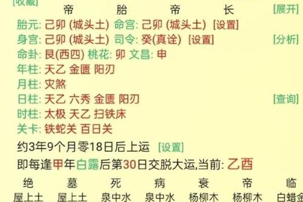 探寻食神：为何在八字命理中被称为男命之孙子