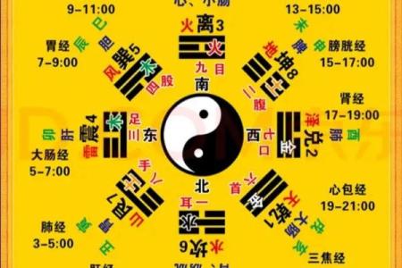 五行缺金：她的命格与提升人生的秘籍