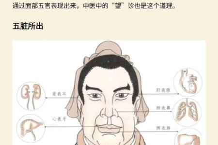 探寻五行之道：水命、火命、土命的独特魅力与应用价值