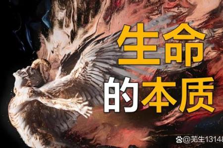 探索木命与土命的奥秘:命理学中的元素世界