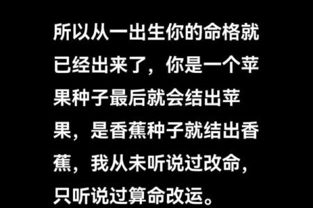 探索天上火命的奥秘：命理与人生的深刻启示