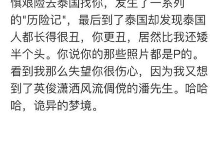 真命男友:找到你命中注定的爱情伴侣