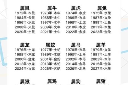土龙命之人适合哪些名字属性？探寻五行中的和谐能量！