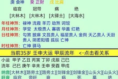 水鸡命的命理解析：寻找适合的命格与发展方向