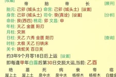 探寻食神：为何在八字命理中被称为男命之孙子