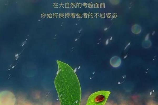 无缘旧命：在流转时光中寻找自我与生命的意义