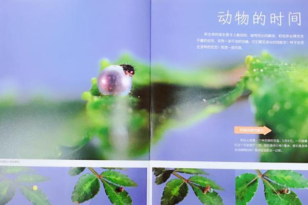 探索与天沟通的奥秘：命格的秘密与启示