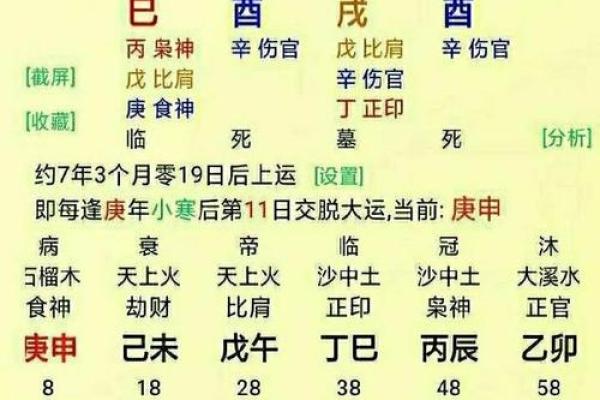午时出生的马与烈日虎的命运解析：揭开命理的神秘面纱