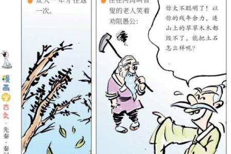 为什么姓杨的都是男人的命?探寻杨姓的背后故事与人生哲学
