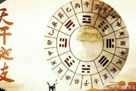 探秘月柱与月支:命运的两面镜子,揭示生命的秘密