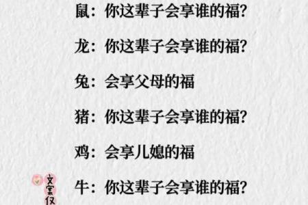 享福命:探寻生活中的乐趣与幸福的真正意义