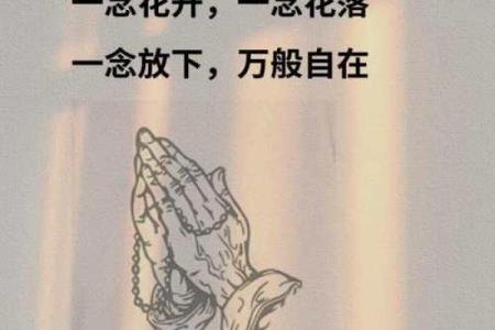 无缘旧命：在流转时光中寻找自我与生命的意义