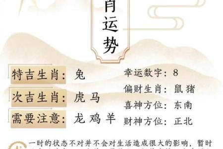 兔命龙年生人五行缺失与命理解析