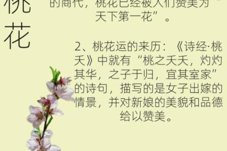 桃花运与致富:揭秘哪些女命能靠桃花快速致富